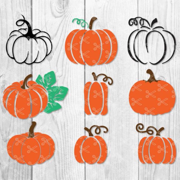 Pumpkin SVG