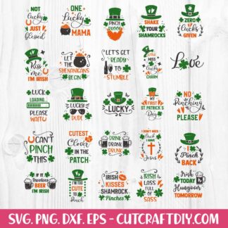 Png Instant Download Proud American Paramedic With Irish Roots Happy St Patrick/'s Day Cricut files,Clip Art Svg Eps Dxf Digital Files