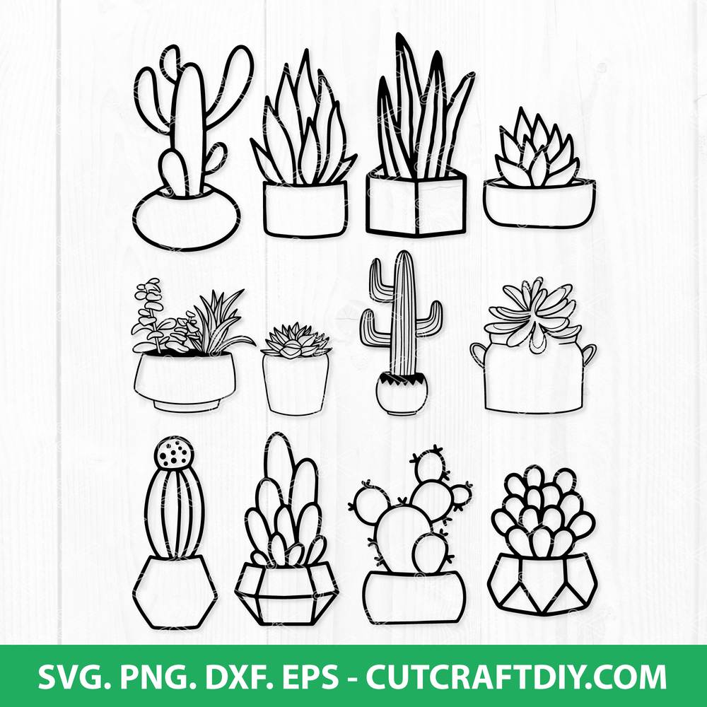 cut files for cricut svg Stay Wild Cactus Decal Files dxf png