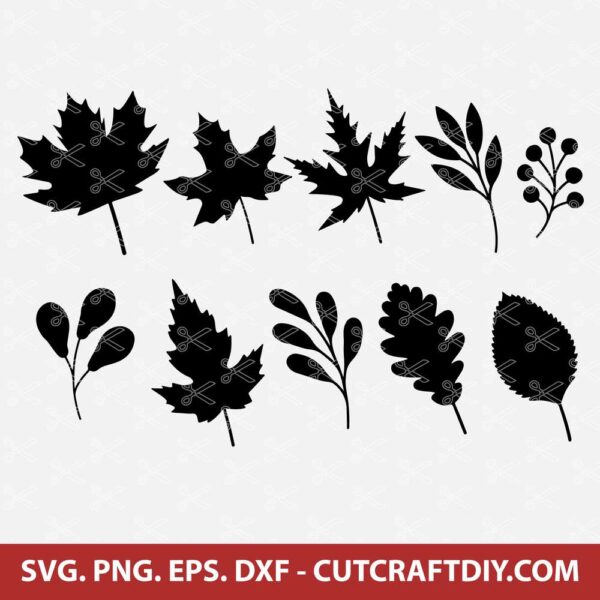 Fall Leaves SVG Bundle