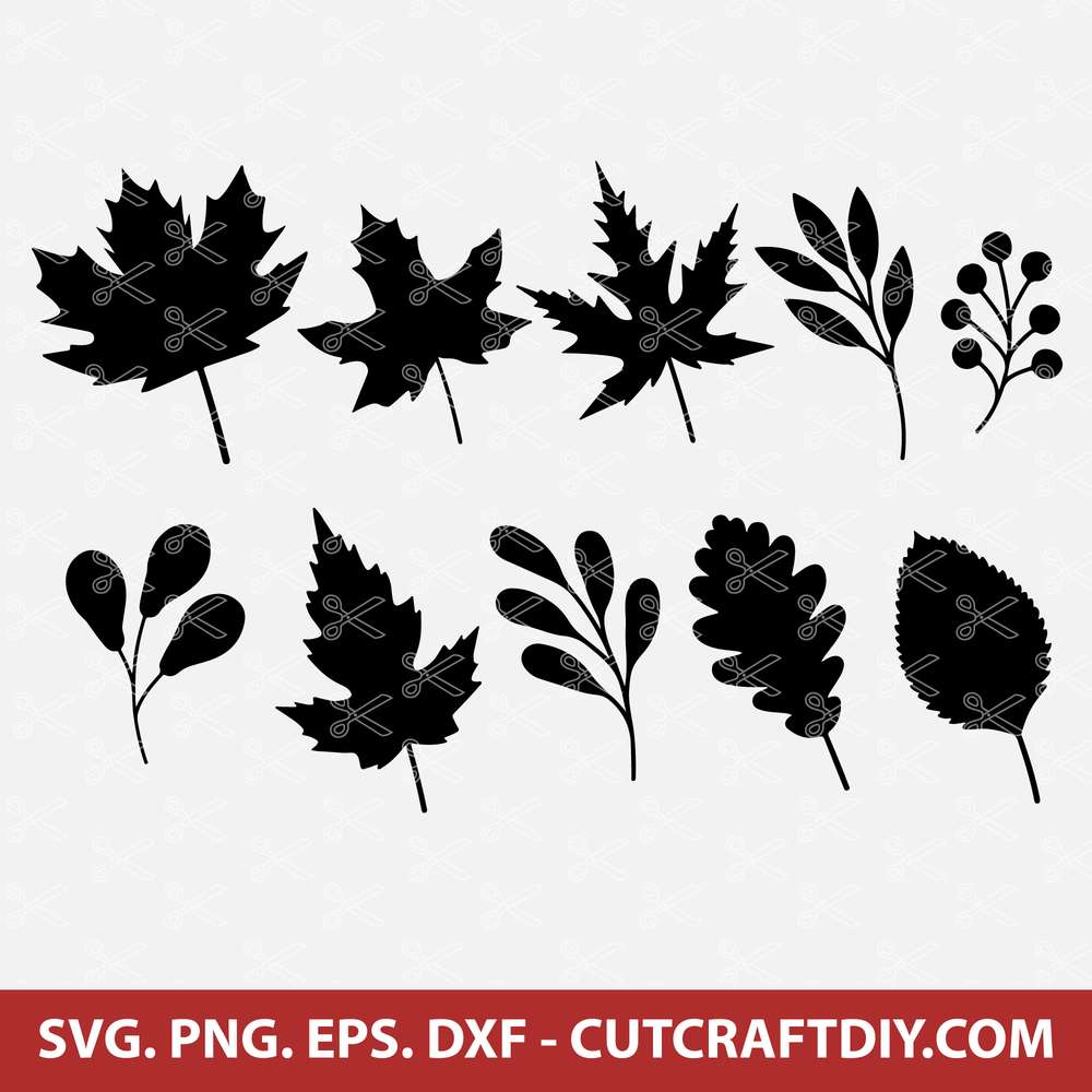 commercial use SVG leaf leaves svg Fall SVG jpg autumn leaf art icon DXF and png file for silhouette or cricut eps fall leaf round