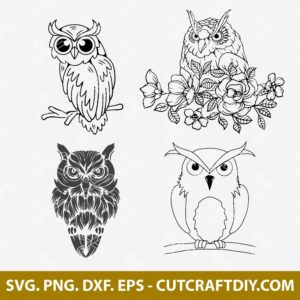 OWL SVG