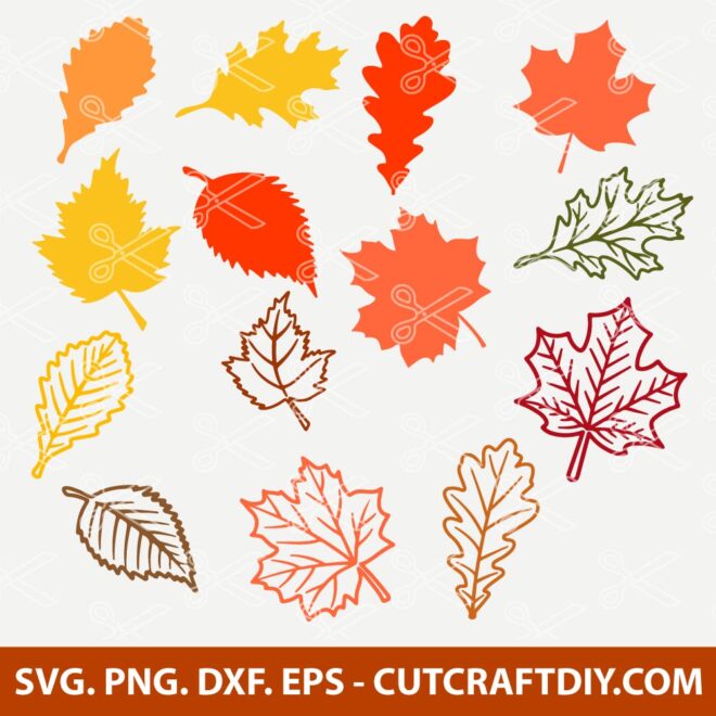 Fall Leaf SVG