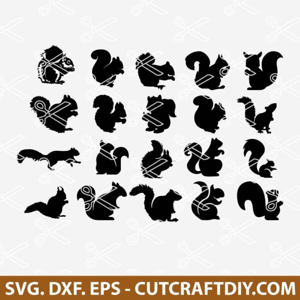 Squirrel SVG Bundle