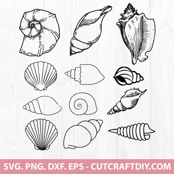 Seashell SVG