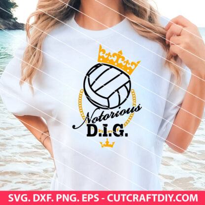 Volleyball Funny Sayings SVG