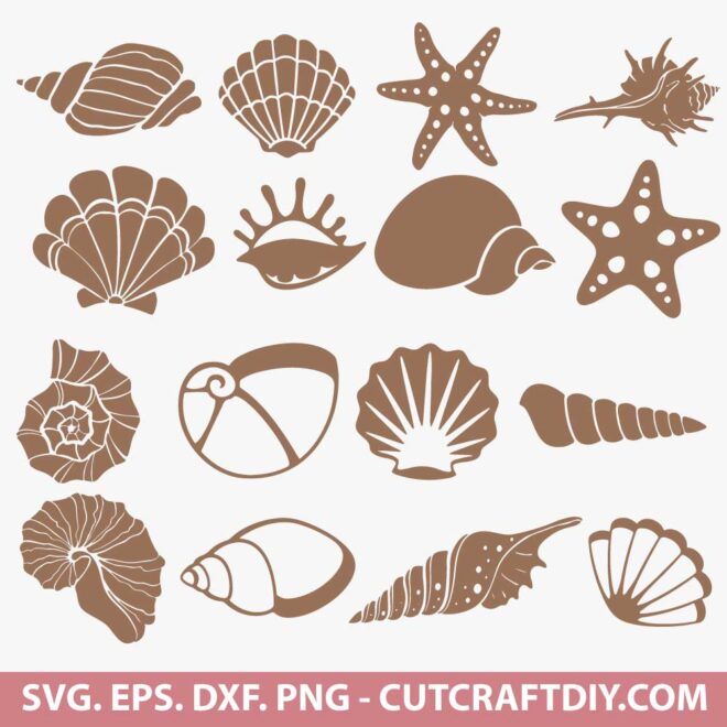 Seashell SVG Bundle