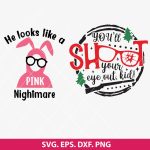 A Christmas Story SVG, You'll Shoot Your Eye Out Svg, Holiday Svg, X-mas SVG, Christmas humor SVG, PNG, DXF, EPS, Cut File for Cricut